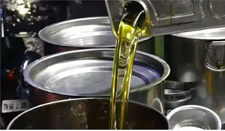 Edible Oil Price Reduced by up to 30 per litre Oil Price Down: Edible Oil Price Reduced by up to 30 per litre