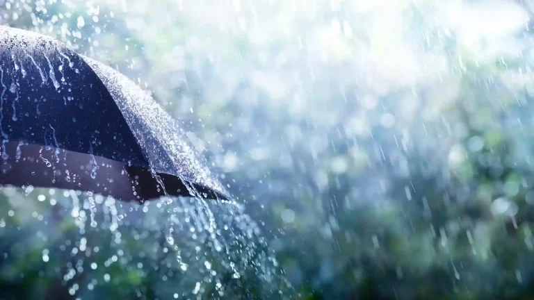 Maharashtra Rains: IMD predicts below normal rain in August, no rains in most parts for 2 weeks until Aug 17 Maharashtra Rains: IMD predicts below normal rain in August, no rains in most parts for 2 weeks until Aug 17