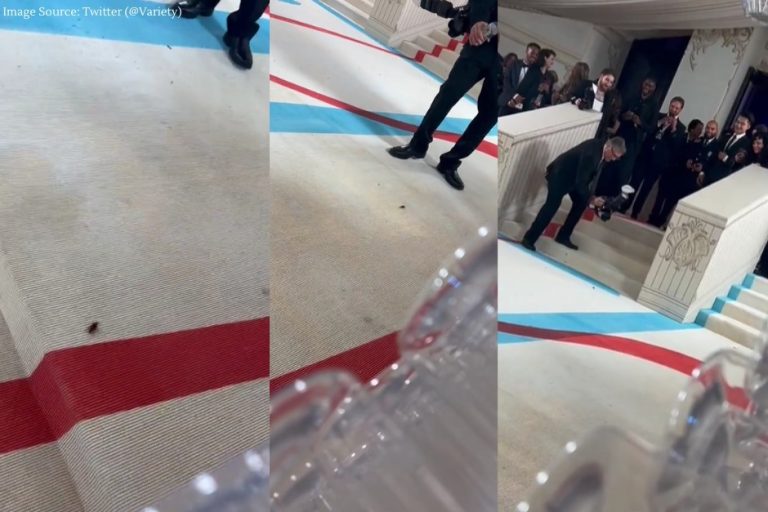 Met Gala 2023: Cockroach spotted on the red carpet, video goes viral. Watch