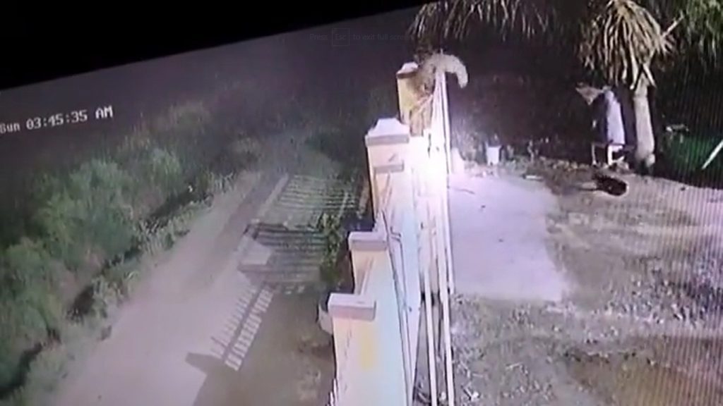 Leopard kills and drags away pet dog in Pune; incident caught on cam