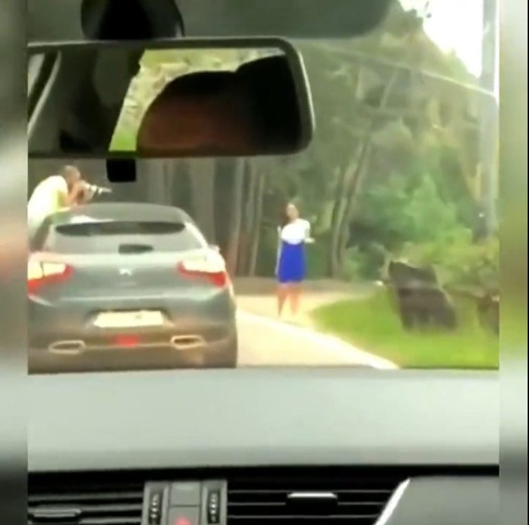 Taking photo with bear became difficult, ran to save her life