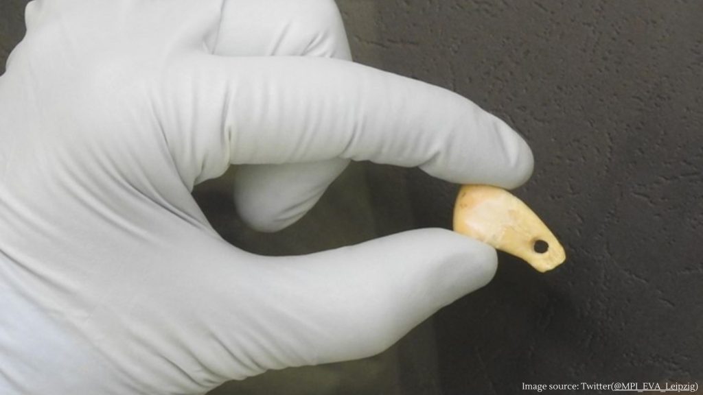 DNA found from 20000 year old pendent
