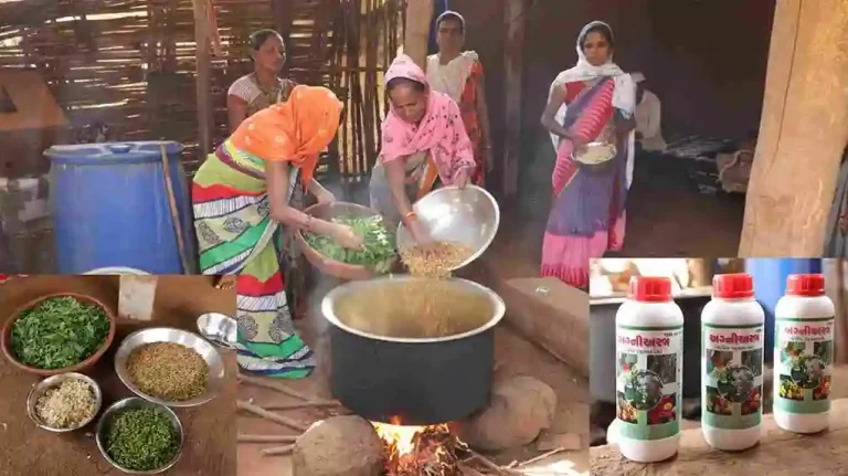 Bilwan Sakhimandal Developed Medicine For Natural Farming Bilwan Sakhimandal Developed Medicine For Natural Farming