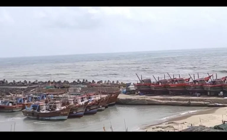 Biparjoy Cyclone Mangrol 340 Cr Rupees loss of newly made jetty