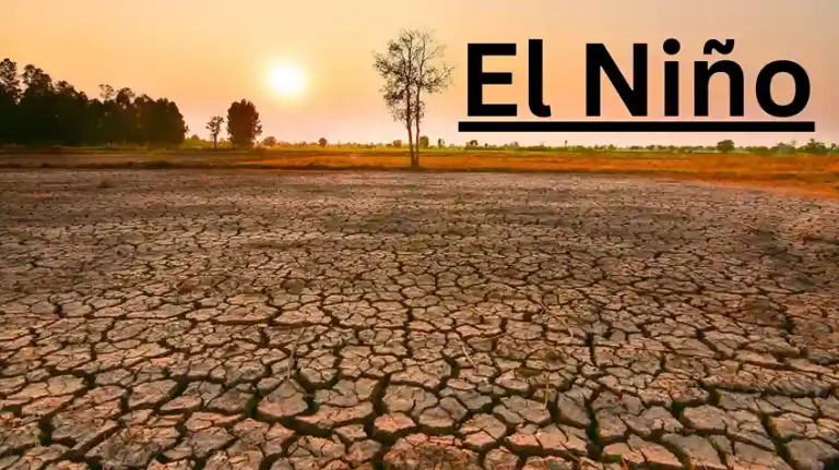 El Nino set to return in Pacific Ocean after 7 years