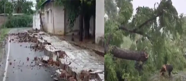 In Banaskantha in North Gujarat, some trees and some school walls fell due to the impact of Cyclone Biporjoy._11zon_11zon In Banaskantha in North Gujarat, some trees and some school walls fell due to the impact of Cyclone Biporjoy.
