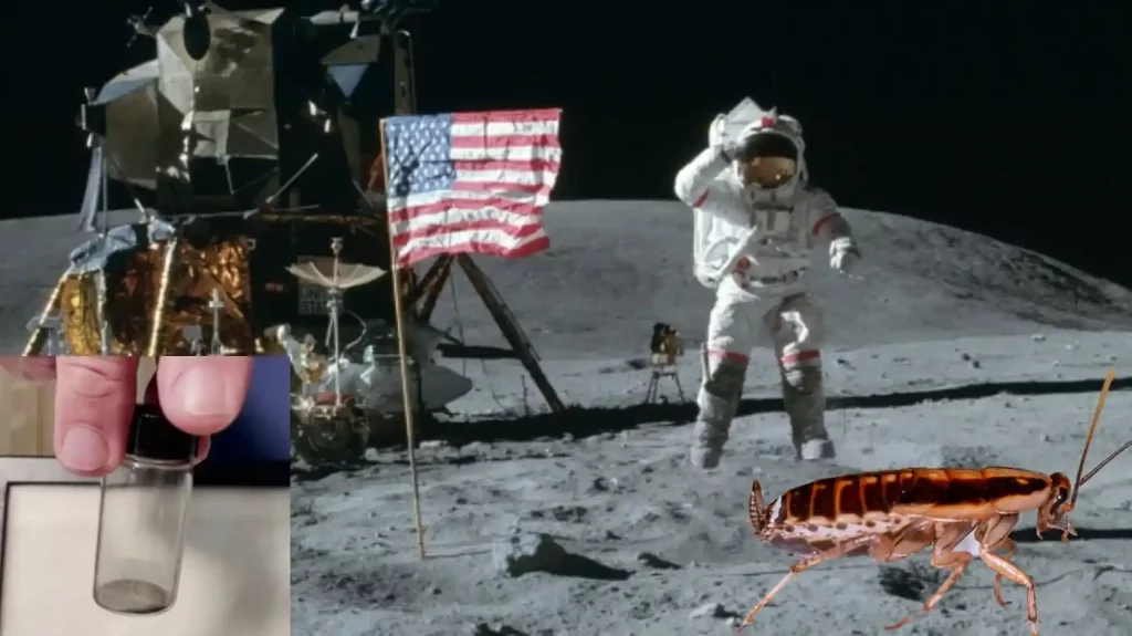 NASA halts sale, wants back Apollo 11 moon dust fed to cockroaches