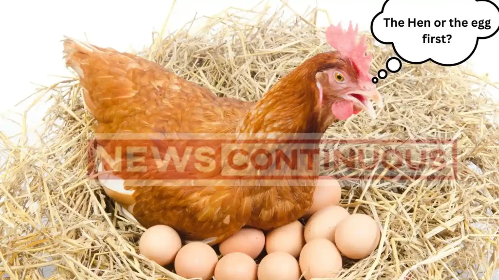 The Hen or the egg first? Scientists have finally found the answer to a question that has puzzled me since childhood.