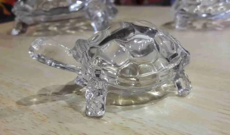 Mother Lakshmi is pleased by keeping a tortoise in the house, know the importance and rules of Vastu Mother Lakshmi is pleased by keeping a tortoise in the house, know the importance and rules of Vastu