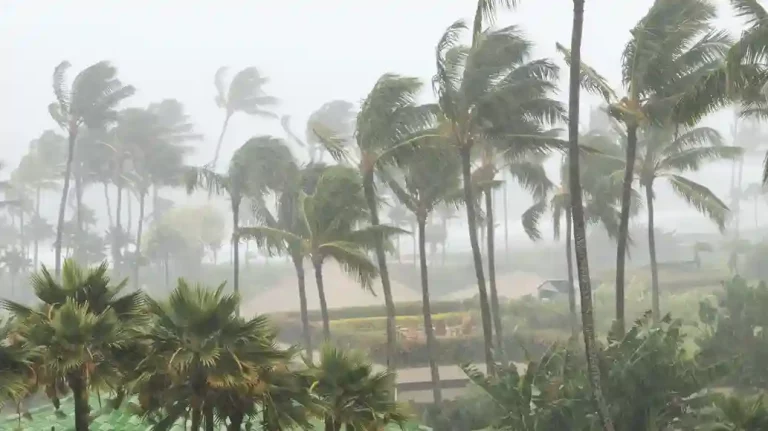 Mumbai : BMC is ready if cyclone Biporjoy hits Arabian Sea Mumbai : BMC is ready if cyclone Biporjoy hits Arabian Sea