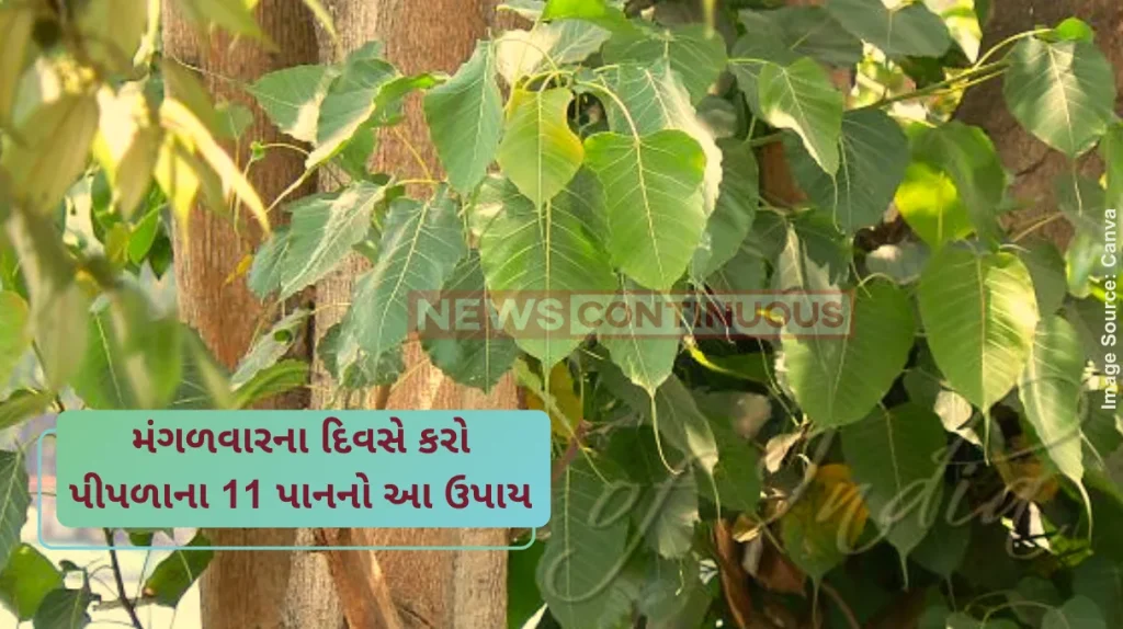 peepal leave upay for tuesday