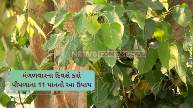 peepal leave upay for tuesday peepal leave upay for tuesday