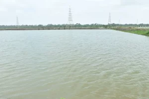 Mission Amrit Sarovar: Overcoming Water Crisis and Boosting Rural Livelihood
