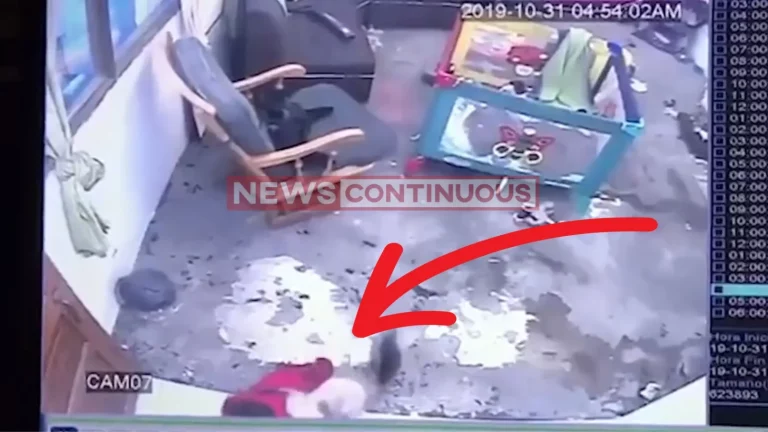 WATCH: Hero Cat Saves Toddler From Falling Down the Stairs