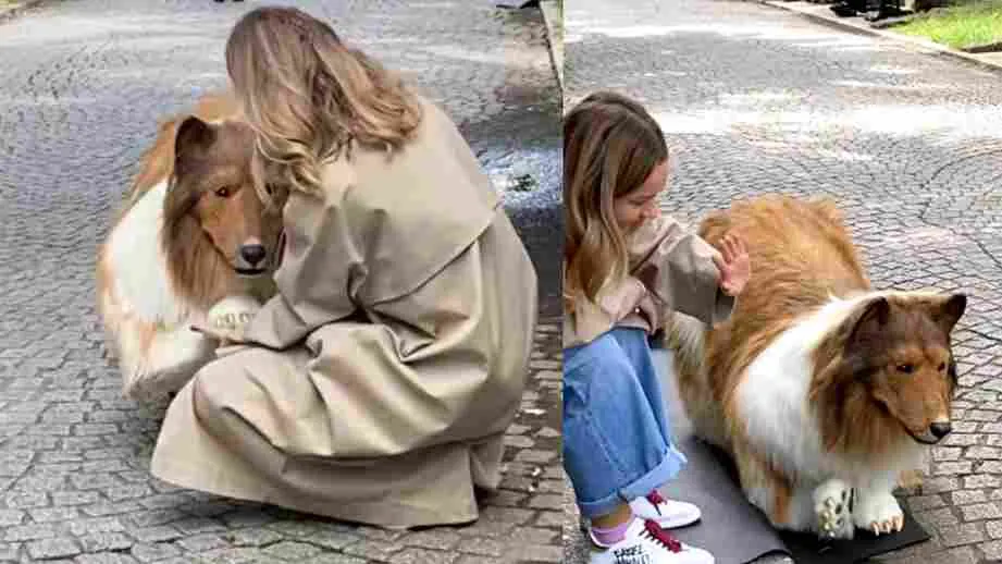 Japan: અવિશ્વનીય! માણસમાંથી કુતરો બનાવવા માટે આ માણસે ખર્ચ્યા 12 લાખ રુપિયા.. તેની પ્રથમ પાર્કના સફરનો વિડીયો વાયરલ.. જુઓ અહીં વિડીયો…