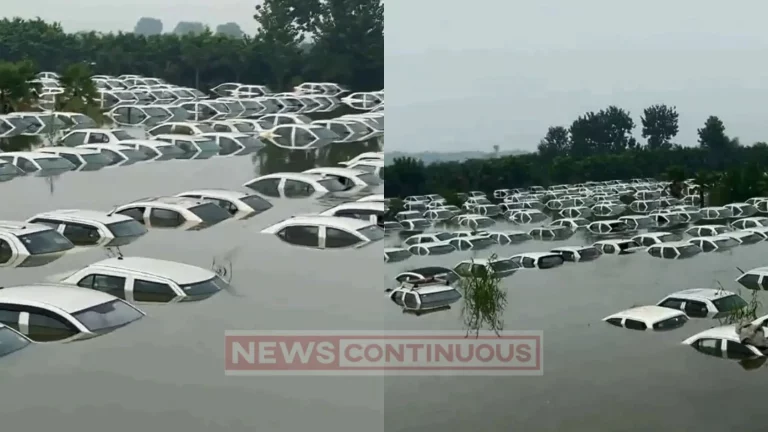 UP Flood: 350 vehicles of Ola company drowned in Noida due to flood of Hindon river, video viral