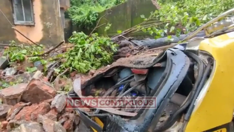 Mumbai Rain, sion, tree collapse, bmc , fire brigade