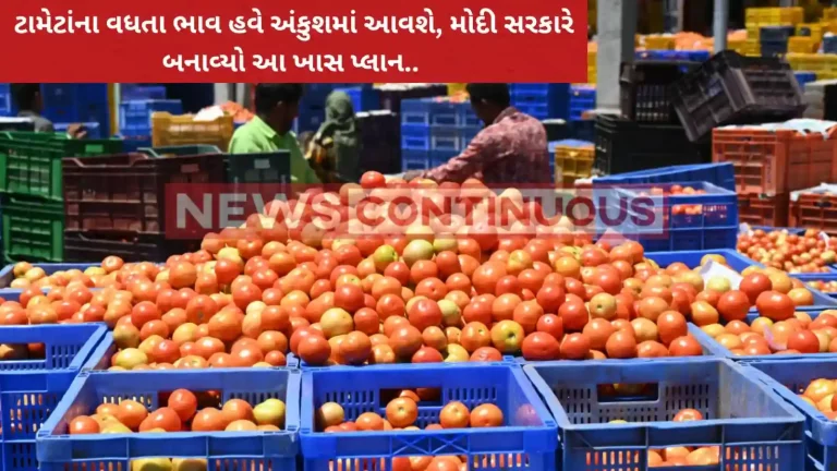 Tomato Price : Centre's new directive to control spiralling prices of tomatoes
