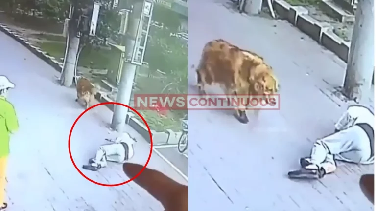 Cat falls on a man on China, leaves him almost dead! Cat falls on a man on China, leaves him almost dead!