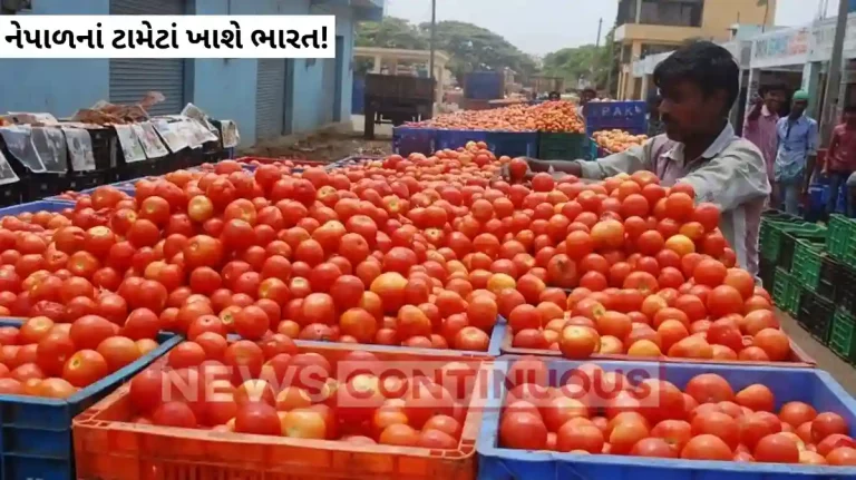 Nepal Tomato Export: India will eat tomatoes from Nepal! Preparing to import, but the neighboring country put this condition