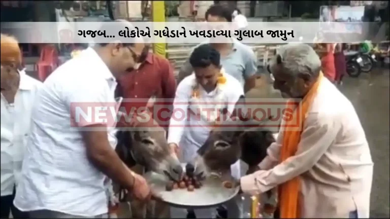 People fed Gulab Jamun to donkeys in Mandsaur, watch viral video