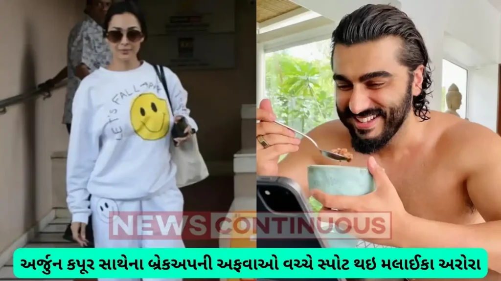 malaika arora wears t-shirt which write lets fall apart amid breakup rumors with arjun kapoor