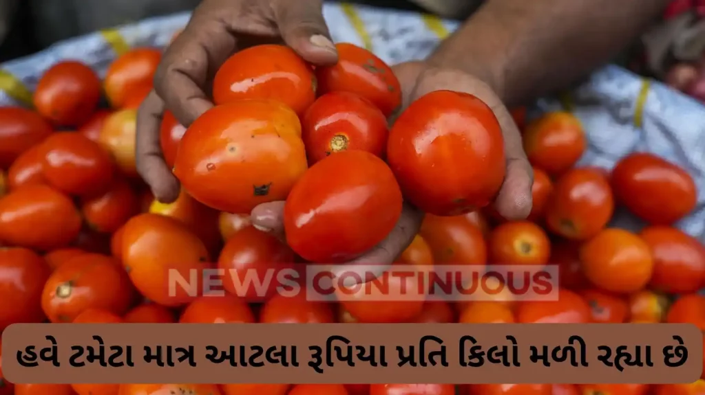 Tomato Price: From Rs 200 per kg a week ago, tomatoes now at just Rs 14 per kg