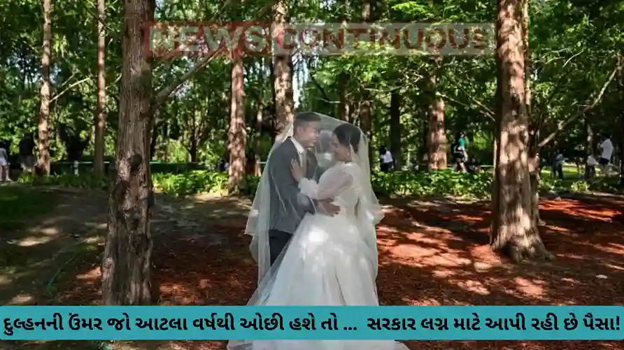 China Birth Rate: Chinese county offers 'cash reward' for couples if bride is aged 25 or younger