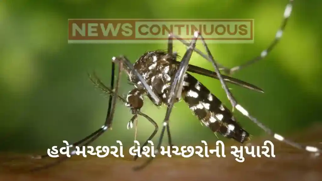 Super Mosquito: Test-tube mosquitoes might help us beat malaria