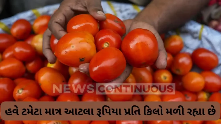 Tomato Price: From Rs 200 per kg a week ago, tomatoes now at just Rs 14 per kg