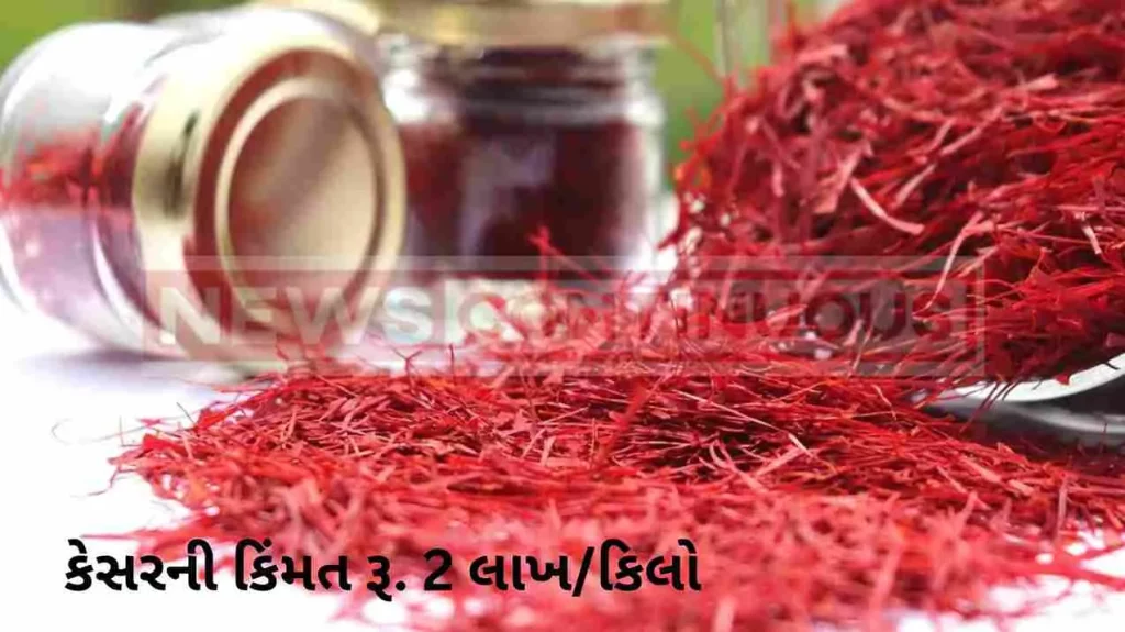 What explains over Rs 2 lakh/kg price of kesar?