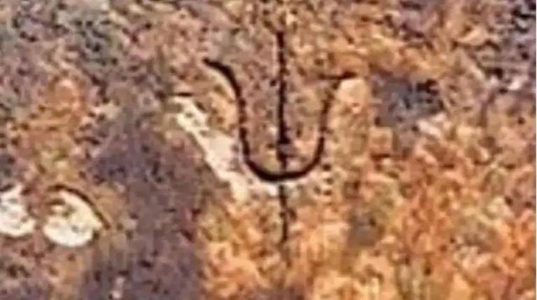 Gyanvapi Survey: In Gyanvapi survey, videos of trishul, swastika were recorded