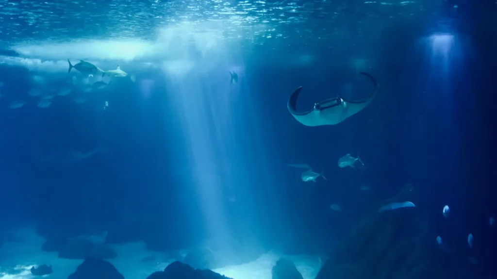 Samudrayaan: India to send three people to depth of 6000 meters in submersible