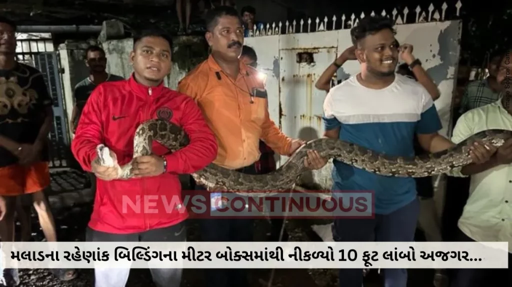 Mumbai News : 10-foot python found in building in Malad, Sarpamitra succeeded in catching this python