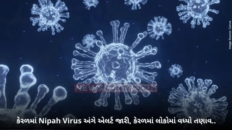 Nipah Virus Alert: Alert issued regarding Nipah Virus in Kerala, two people have died so far;