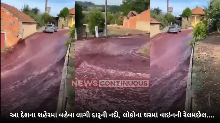 River Of Red Wine : Watch: River of red wine flows through Portuguese town after distillery accident