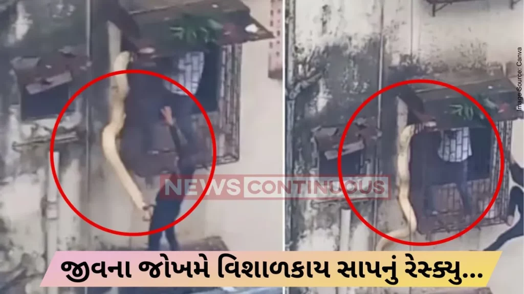 Snake Rescue : massive snake found in thane building kitchen balcony two men rescue