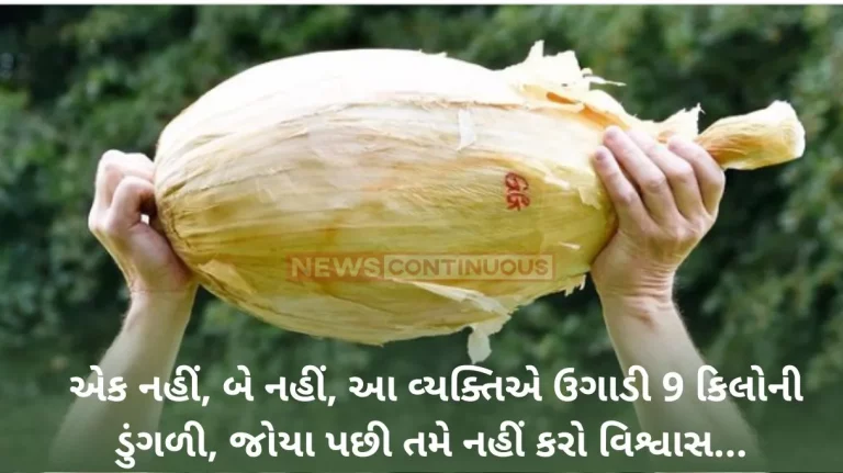 The Giant Onion: One onion weighs as much as 9 kg, the farmer did an experiment that now the whole village will grow vegetables