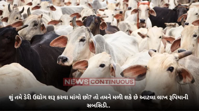 Uttar Pradesh: If you want to start a dairy, you will get a subsidy of Rs 31 lakh on purchase of 25 cows.
