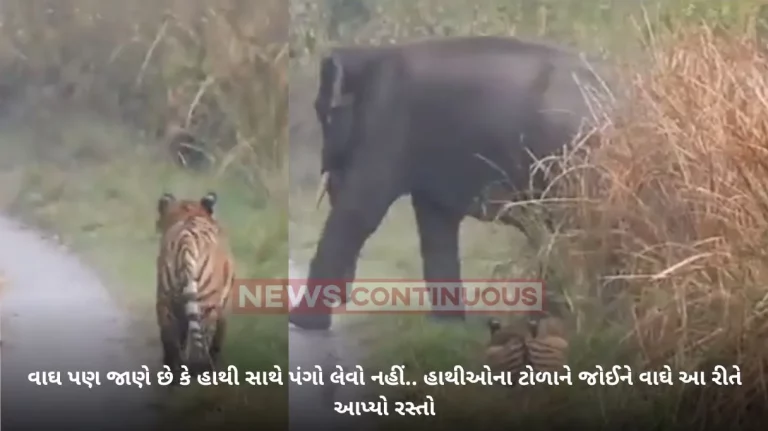 Viral Video: Tiger hides from elephant herd, video goes viral. Watch