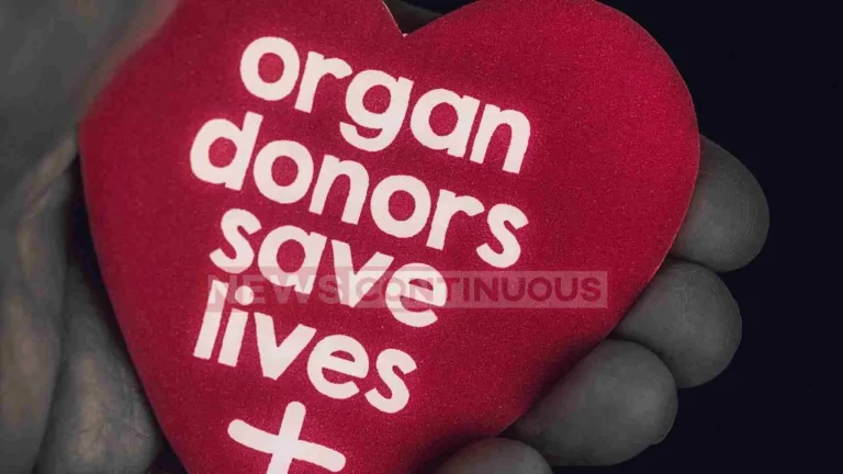 Two brain dead people from Surat and Amreli became Vdhanharta in the lives of four people!