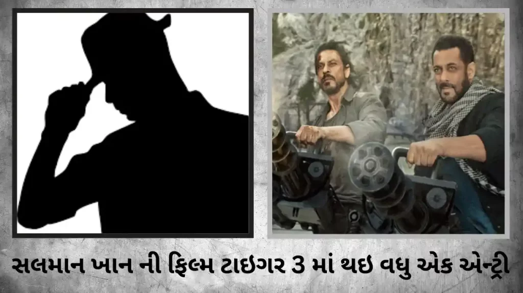 Tiger 3 salman khan film to have this superstar cameo other than shahrukh khan