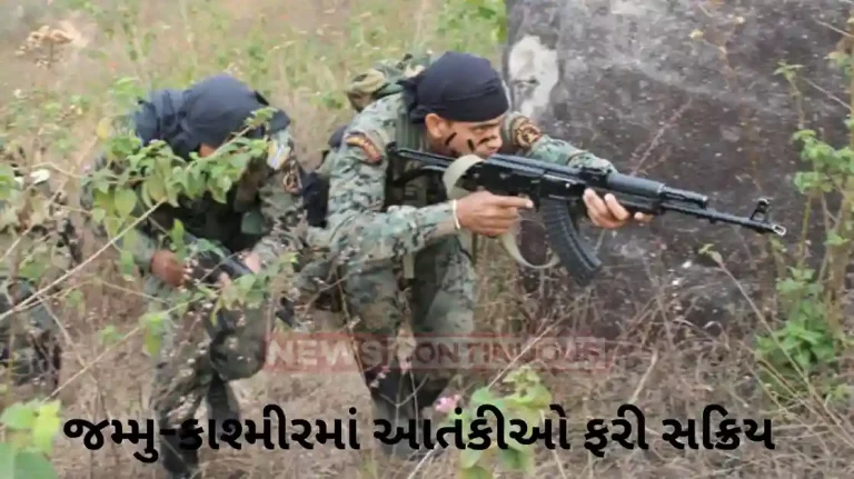 Jammu & Kashmir: 111 terrorists active in Jammu and Kashmir, 100 Cobra commandos of CRPF sent to Valley