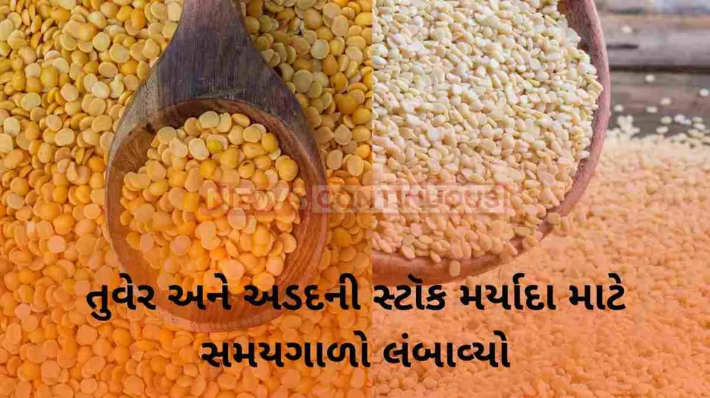 the-central-government-extended-the-period-till-december-31-for-the-stock-limit-of-tuvar-and-urad