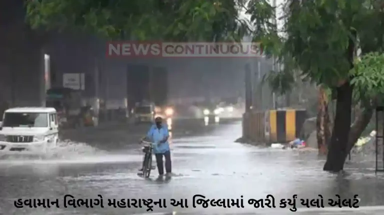 Maharashtra Rain: Monsoon active again in state; Warning of heavy rain in this district of Maharashtra; Meteorological department has issued a yellow alert