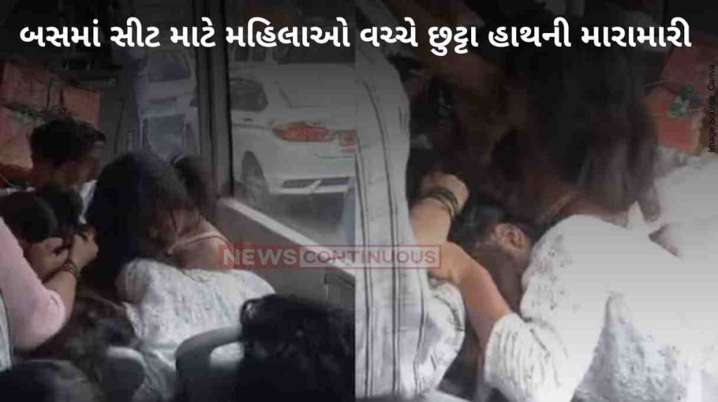Bus Fight Viral Video Hair Pulling To Slaps; Women In Delhi Govt Bus Create WWE-Like Moment Over Seat