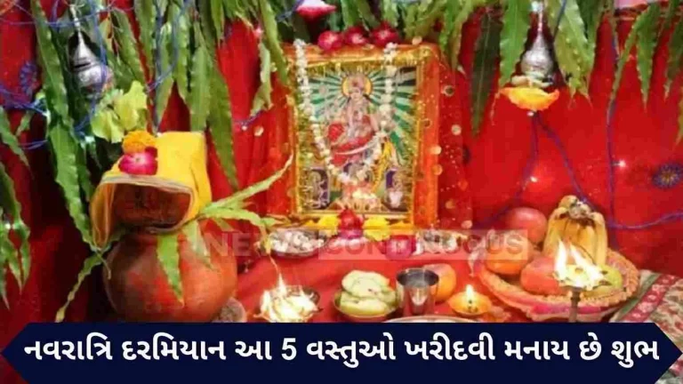 Buying these 5 things during Navratri makes mother durga happy