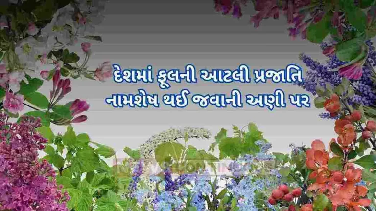 Caution!! 37% of flower species in the country are on the verge of extinction..