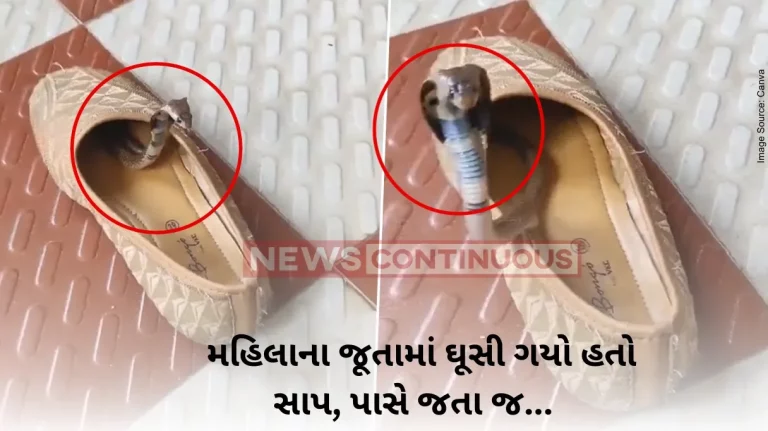 Cobra Viral Video: Video Of Baby Snake Hiding Inside Shoe Unlocks New Fear