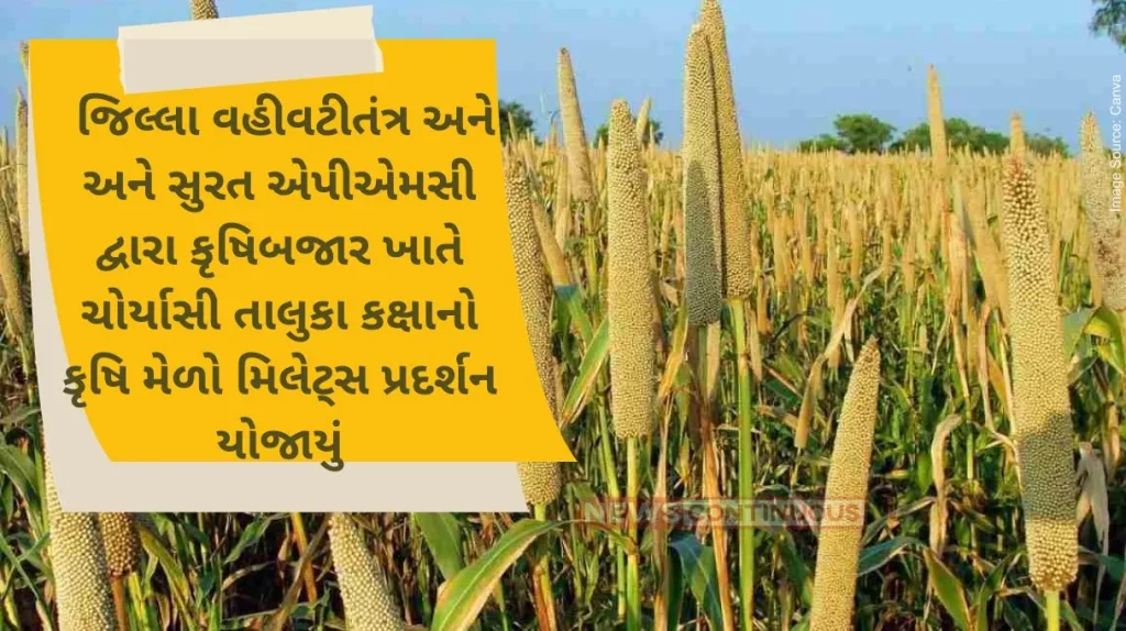 District Administration and Surat APMC organized eighty four taluka level agricultural fair millet exhibition at Krishi Bazar.